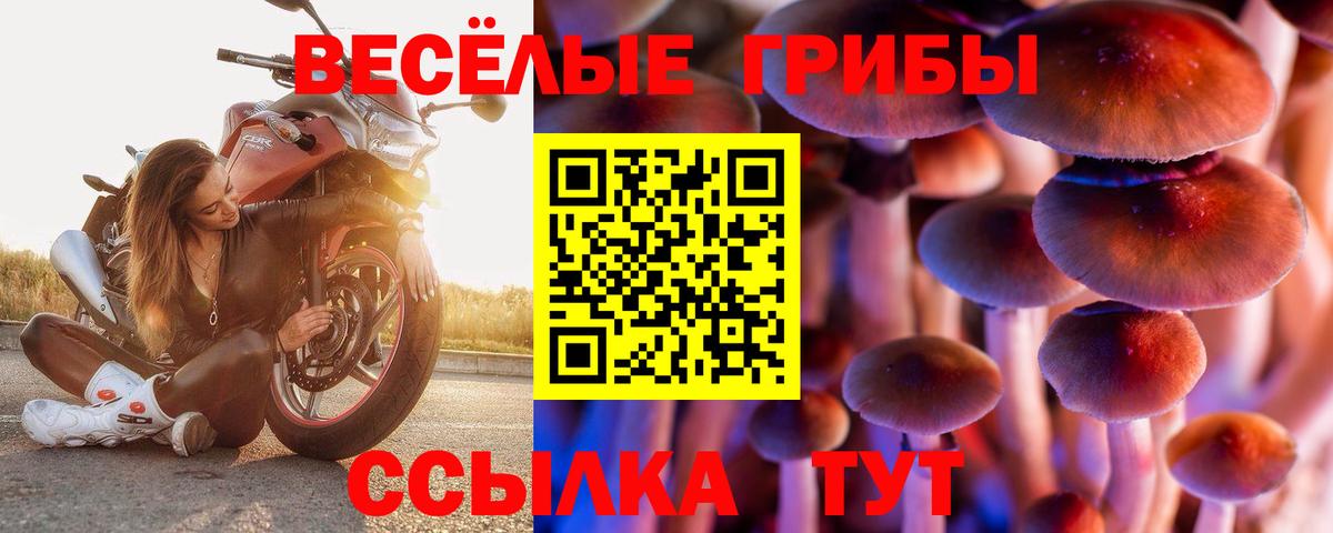 Галлюциногенные грибы мицелий Азов